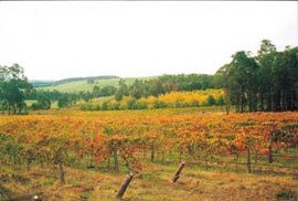 Thomson Brook WA Accommodation in Bendigo