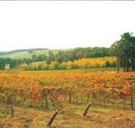 Byramgou Park - Accommodation in Bendigo