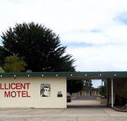 Millicent Motel - Accommodation in Bendigo