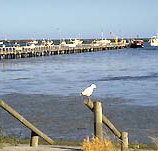 Seaview Motel and Holiday Units - Accommodation in Bendigo