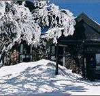 Arlberg Hotel Mt Buller - Accommodation in Bendigo