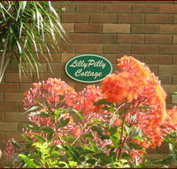 Lillypilly - Accommodation in Bendigo