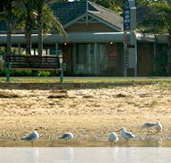 Best Western Coastal Waters Motor Inn - Accommodation in Bendigo