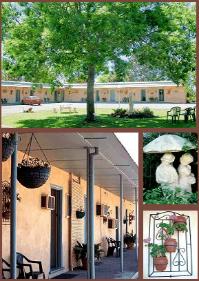 Arch Motel - Accommodation in Bendigo 2