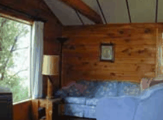The Pines Resort - Accommodation in Bendigo