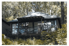 Treetops Resorts - Accommodation in Bendigo 2