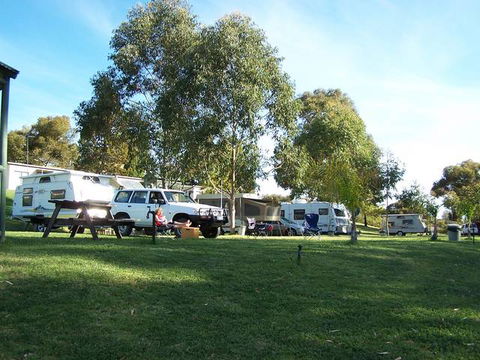 Robinvale Weir Caravan Park - Accommodation in Bendigo 2