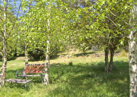 Tomah Mountain Lodge - Accommodation in Bendigo 2