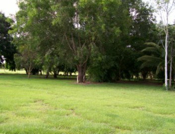 Daly River Mango Farm - Accommodation in Bendigo 1