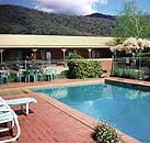 Snowgum Motel - Accommodation in Bendigo