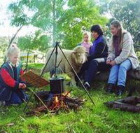 Sleepy Hollow Farm Cottage - Accommodation in Bendigo