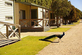 Other - Accommodation in Bendigo 3