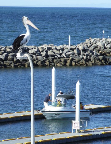 Edithburgh Caravan Park - Accommodation in Bendigo 6