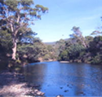 Douglas River Cabin - Accommodation in Bendigo