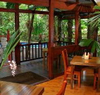 Daintree Wilderness Lodge - Accommodation in Bendigo