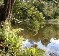 Weldborough Camping Ground - Accommodation in Bendigo