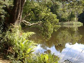 Weldborough Camping Ground - Accommodation in Bendigo 0