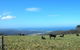 St Marys Seaview Farm - thumb 0