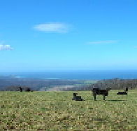 St Marys Seaview Farm - Accommodation in Bendigo