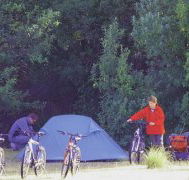 Maria Island Camping Ground - Accommodation in Bendigo