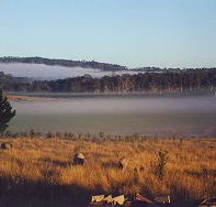 Fonthill - Accommodation in Bendigo