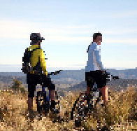 Twin Lakes Trout Fishery - Accommodation in Bendigo