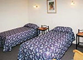 Mt Lyell Motor Inn - Accommodation in Bendigo 0