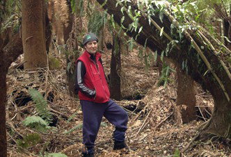 Forest Walks Lodge - Eco-Accommodation - Accommodation in Bendigo 3