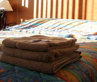 Mt Lyell Motor Inn - Accommodation in Bendigo 3