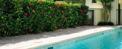 Cairns Beachfront Apartment - Accommodation in Bendigo 5