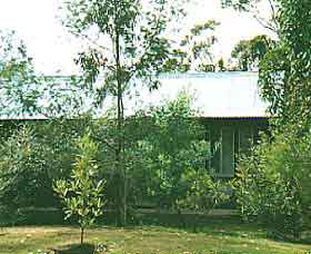 Wonga - Accommodation in Bendigo 0