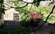 Brim Brim Gardens Bed & Breakfast - thumb 0