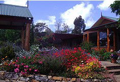Blossoms Bed And Breakfast - Accommodation in Bendigo 2