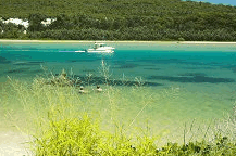 Wooli Camping And Caravan Park - thumb 0