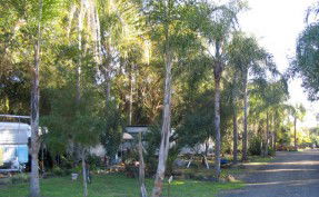 Lismore Palms Caravan Park - Accommodation in Bendigo 1