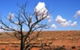 Theldarpa Stationstay - thumb 1