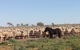 Pimpara Lake StationStay - thumb 0