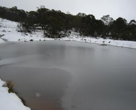Old Minton Farmstay - Accommodation in Bendigo 1