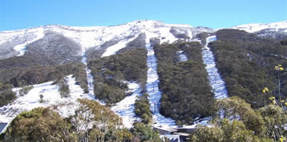 Snowgoose Apartments - Accommodation in Bendigo 5