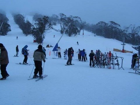 Black Bear Inn - Accommodation in Bendigo 1