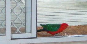 Azalea Cottage - Accommodation in Bendigo 5