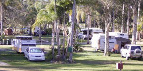 Brigadoon Holiday Park - Accommodation in Bendigo 2