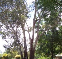 The Church House B and B - Accommodation in Bendigo