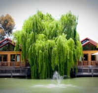 Perricoota Vines Retreat - Accommodation in Bendigo