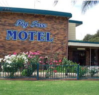 Fig Tree Motel - Accommodation in Bendigo