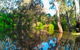 Wanganella Creek Camp Park - thumb 1