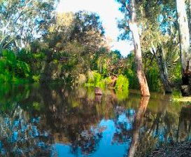 Wanganella Creek Camp Park - Accommodation in Bendigo 1
