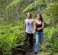 Blackheath Glen Tourist Park - Accommodation in Bendigo