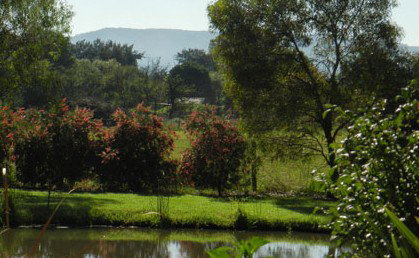 Amazing Country Escapes - Evanslea By The River - Accommodation in Bendigo 4