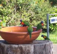 Lamb Island Bed and Breakfast - Accommodation in Bendigo